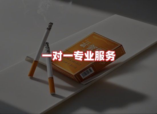 专业团队